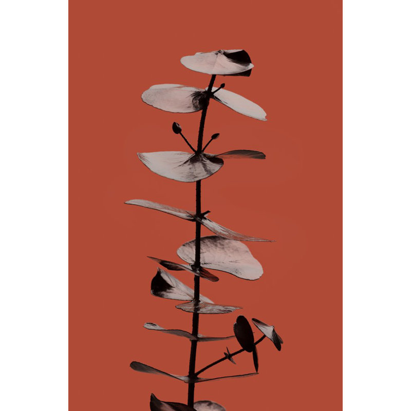 Wrapped Canvas Print, 91.44cm H x 60.96cm W
