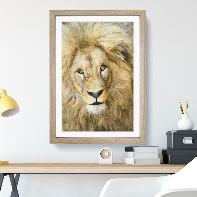 The Face of a Lion - Picture Frame Painting Print, 87cm H x 62cm W x 2cm D, Oak Framed