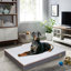 Lit pour chien Pillow-60530313