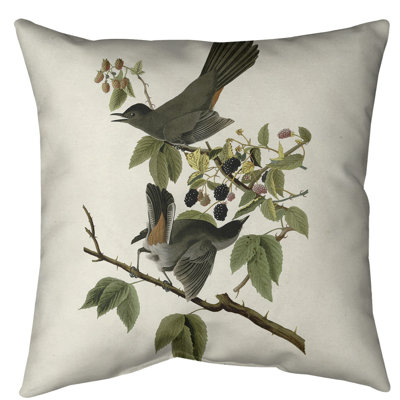 Coussin de sol pour chat avec oiseau John James Audubon-standard