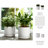 Set Of 2 Ceramic Planters With Textured Bubble Surface And Saucers - Modern Decorative Container Pots For Stylish Indoor Display And Versatile Plant Arrangements-878722646