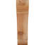 Attelle de genou olympique-31229636-31230592-29309935