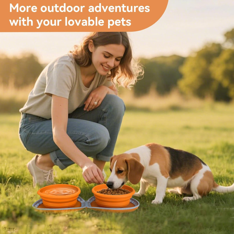 Bol et nourriture pour animaux 2-en-1 en silicone