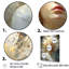 «Woman Shekinahs Shine Portrait» sur impression sur toile-2079325403-2079325404