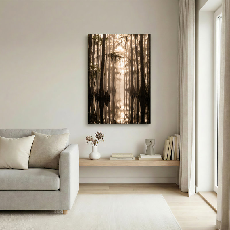 «Misty Cypress Trees in Golden Bayou», art mural sur toile, 30"H x 20"W