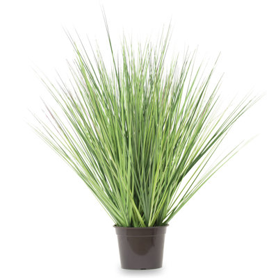 Faux Evergreen Grass in Pot