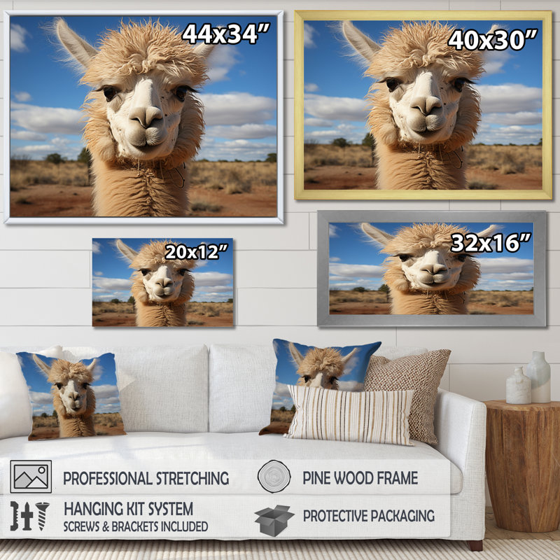 " Alpaca Vibrant Portrait I ", Gold Picture Framed, 24" H x 32" W x 1" D