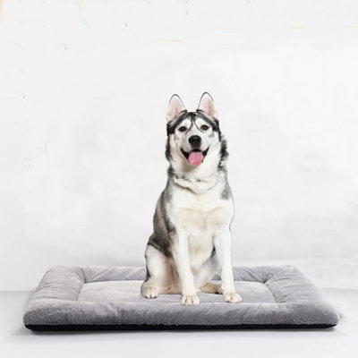 Coussin pour chien pour chien moyen / grand