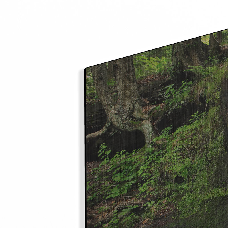 Ivy Bronx «Gunn Brooks Falls» par Patrick Zephyr, art mural en métal, H 24 po x l 36 po