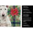 White Bull Terrier Christmas PoinsettIas Kitchen Towel-2080583697