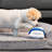  Pet Bed, Small-708469978