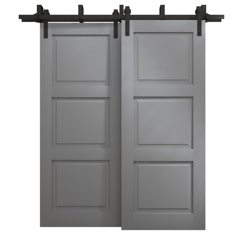 Portes coulissantes de grange coulissantes pour garde-robe | Ego 5010 | Ensemble de quincaillerie Modern Rails | Portes de garde-robe de chambre en bois massif
