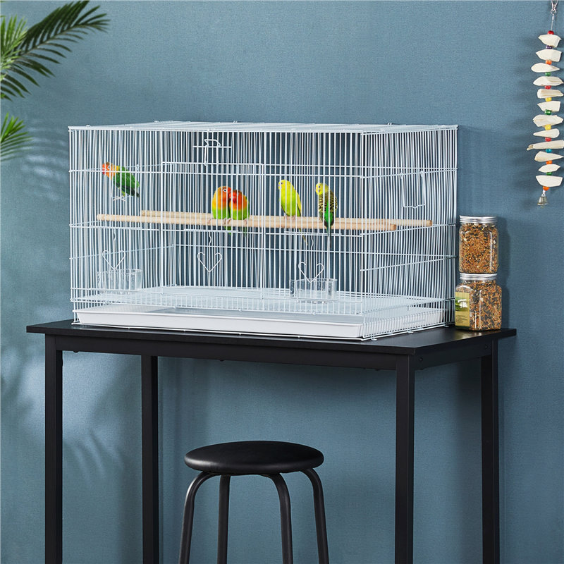 Cage à oiseaux avec perchoir Taylorsville, Blanc
