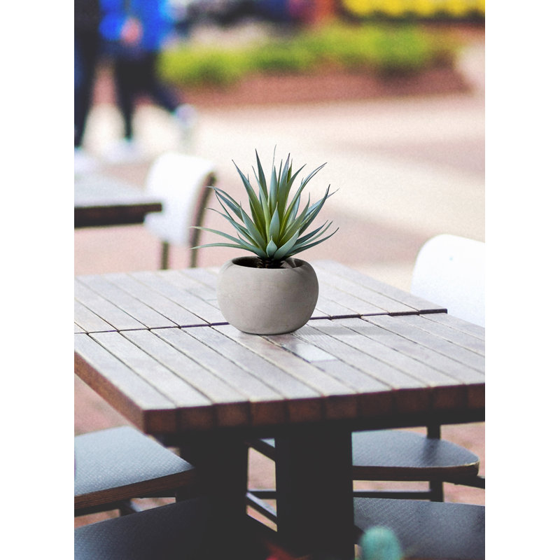 Ensemble de pots Evergreen, 1