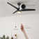 Granogue 52'' Ceiling Fan with LED Lights