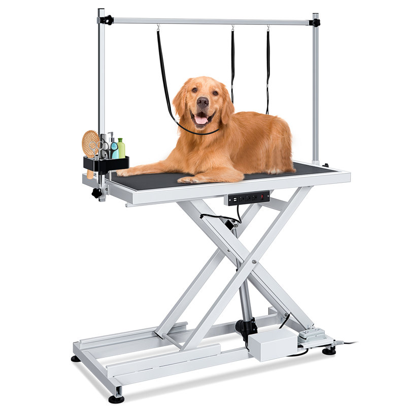 50'' W x Stee Adjustable Dog Electric Grooming Table, White