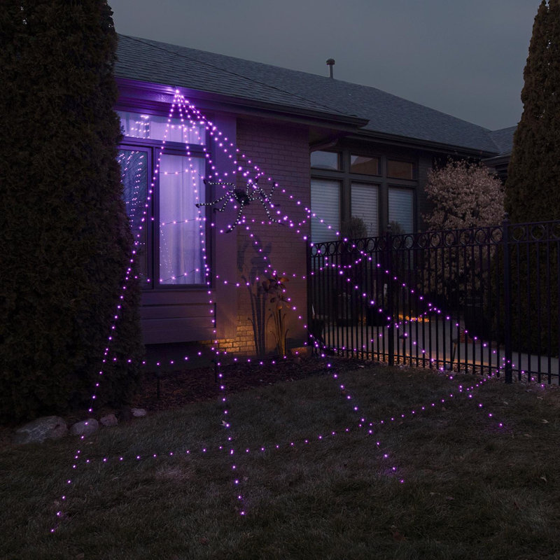 Décoration suspendue à DEL 496 carats, orange et mauve Celebrations
