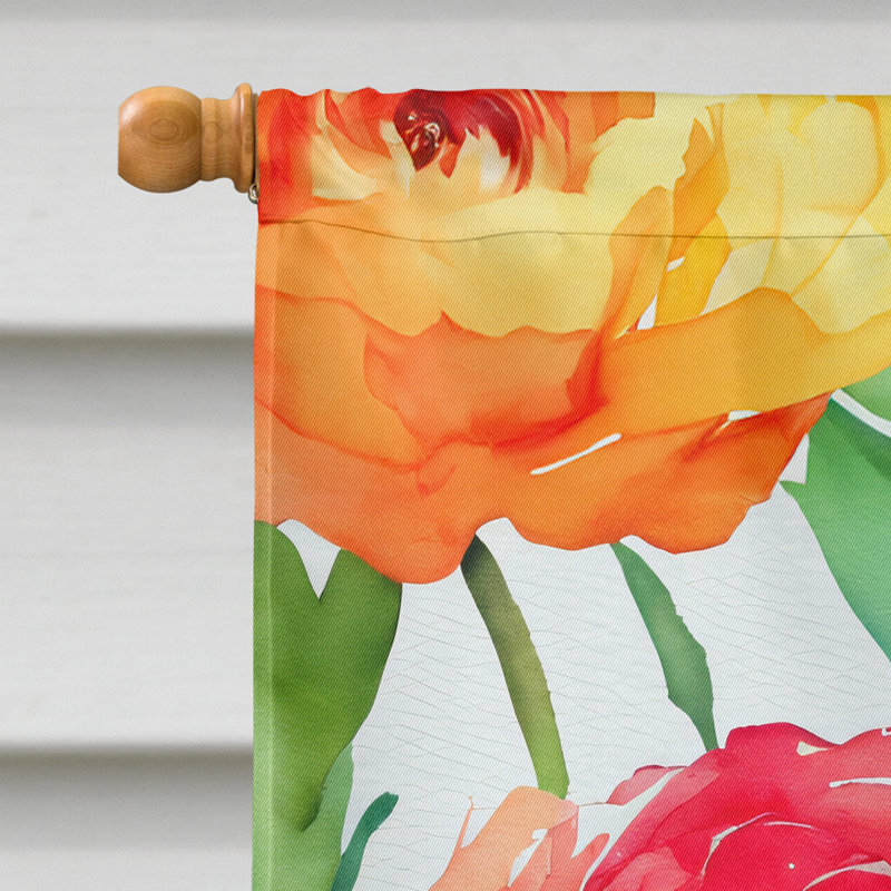 Renoncule dans le drapeau de la maison à l'aquarelle