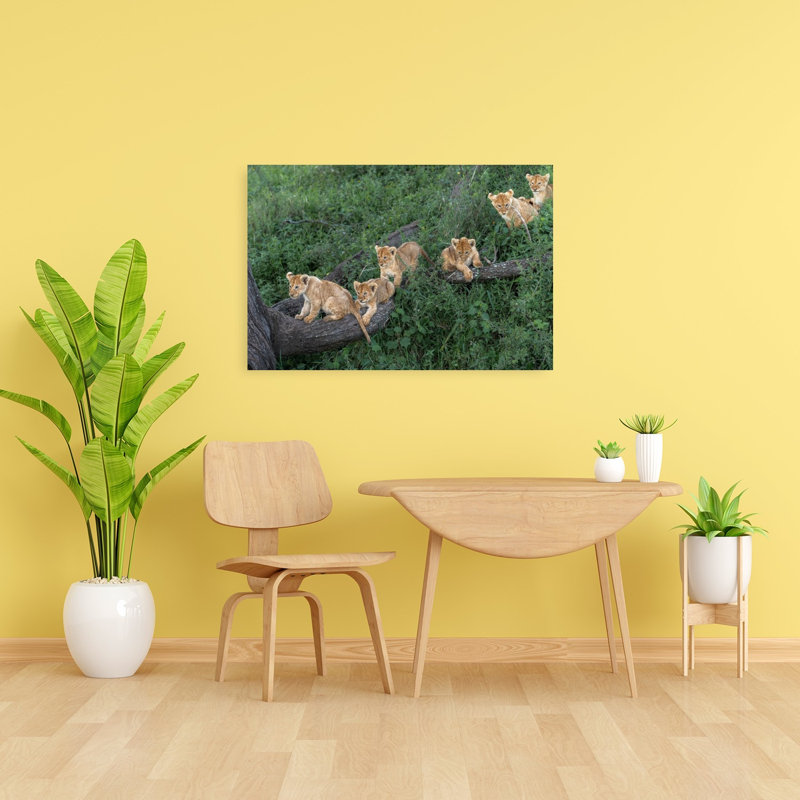 Playful Lion Cubs Playful Abstract Contemporary Cat Lion Nature Tree Wall Art Print by Jeffrey C. Sink - 1 Piece Wrapped Canvas Wall Art
