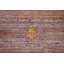 Tapis oriental Gabbeh 8 x 10