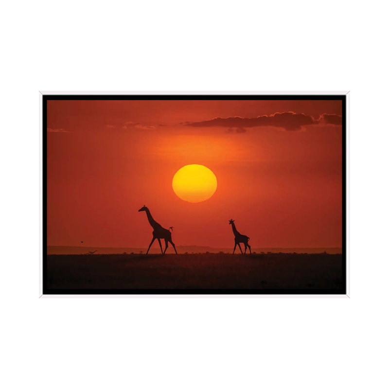 Giraffes In The Sunset by Hua Zhu - Floater Frame Print on Canvas, White, 66.04 cm H x 45.72 cm W