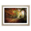 Autumn Forest - Framed Print-55456838-55456839