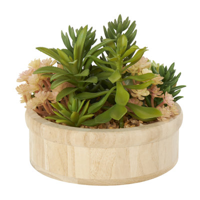 Plante succulente en pot de bois 7,25 po Caufield