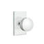 Privacy Bern Knob with Modern Rectangular Rose-1222610330