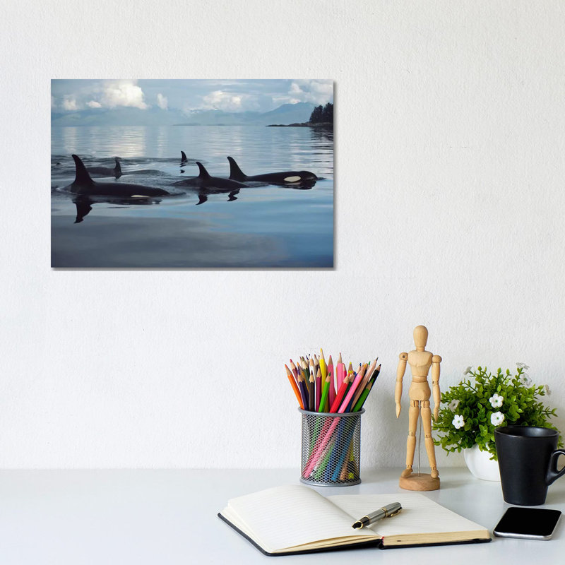 Orca Group, Johnstone Strait, British Columbia, Canada by Flip Nicklin - Wrapped Canvas Print, 20.32 cm H x 30.48 cm W