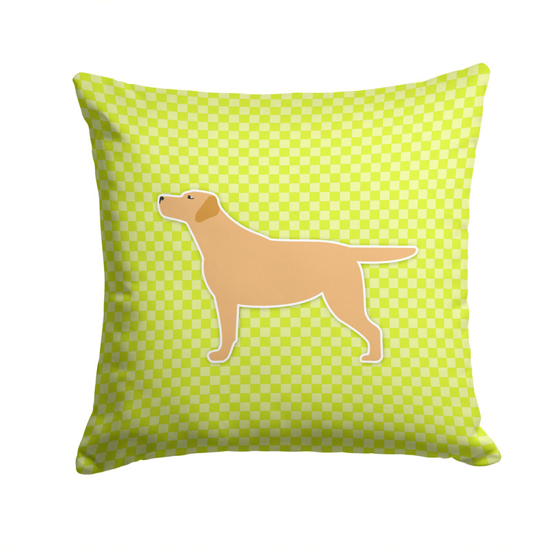 Coussin intérieur/extérieur carré labrador, H 14 po x l 14 po x P 3 po, Brun / Vert