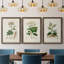Antique Turpin Botanical I - ensemble de 3 peintures sur toile encadrées-1376143611-1376143608