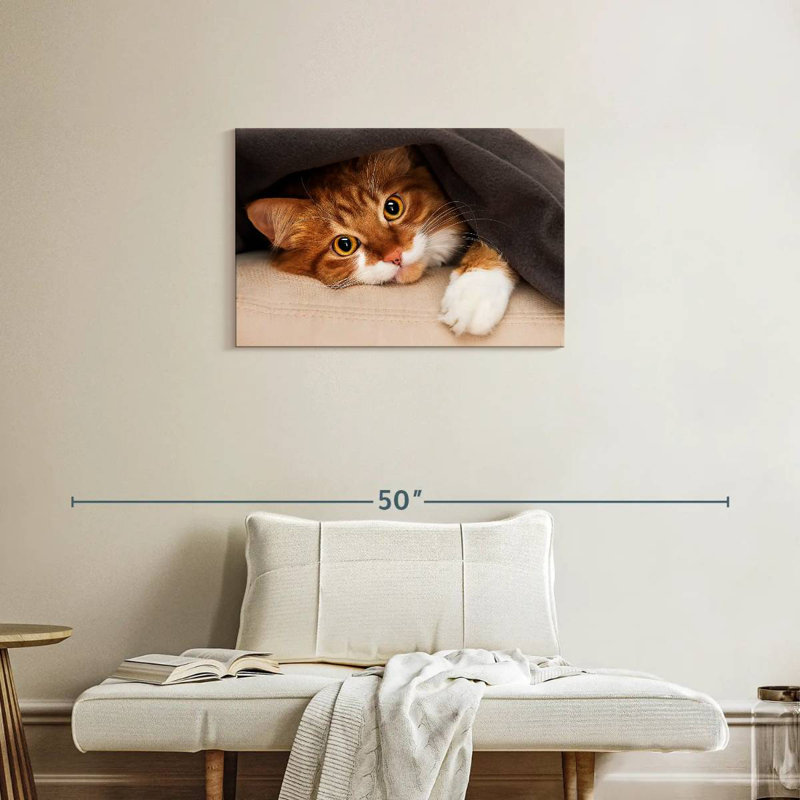 Crowle Cozy Cat, H 20 po x l 30 po