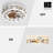 19.7'' Ceiling Fan with Light Kit-100266699