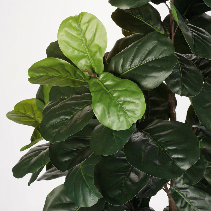 Figuier de 6 pi en figuier en pot, plante artificielle réaliste pour la maison et le bureau, 72 po x 6,69 po