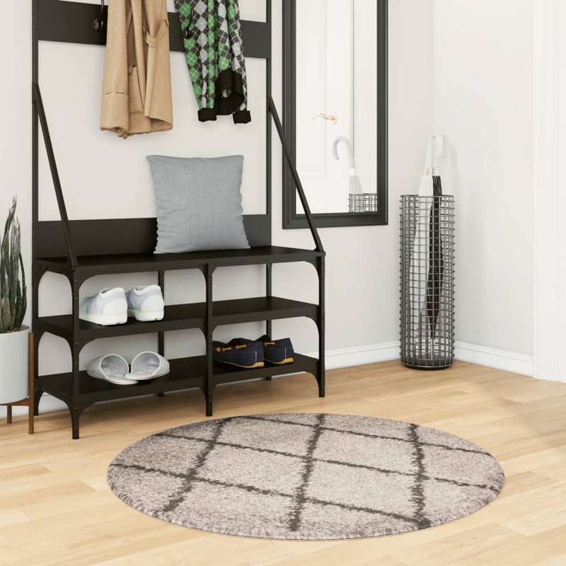 Lizette 60cm X 110cm Area Rug, Round 100cm
