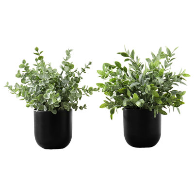 Herbe d'eucalyptus artificiel de 11 po de hauteur, 2 pièces, plantes décoratives d'intérieur dans des pots noirs, 2 pièces sans herbe, feuille de verdure artificielle
