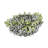 Bird Nests - Set of 6 - Green