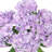 Artificial Hydrangea Flower Stem-1352487582