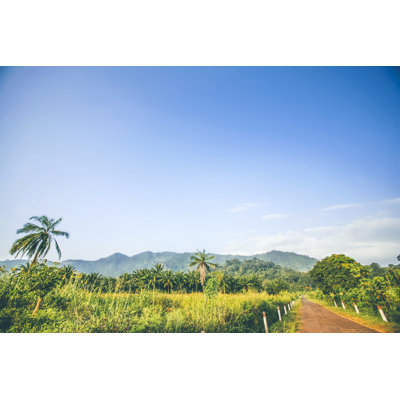 African Jungle Road - No Frame Print on Canvas