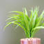 35cm Faux Plant in Ceramic Pot