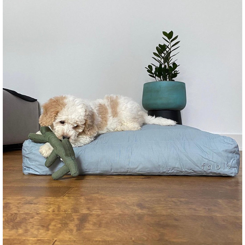 Signature Pillow/Classic Bed, Silver Blue, Extra Large (30" W x 40" D x 5" H)