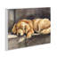 «Sleeping Golden Retriever» par George Dyachenko