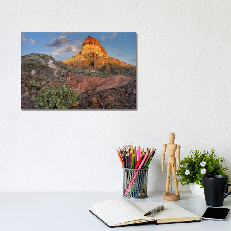 Opuntia Cactus At Cerro Castellan, Chihuahuan Desert, Big Bend National Park, Chihuahuan Desert, Texas by Tim Fitzharris - Wrapped Canvas Print