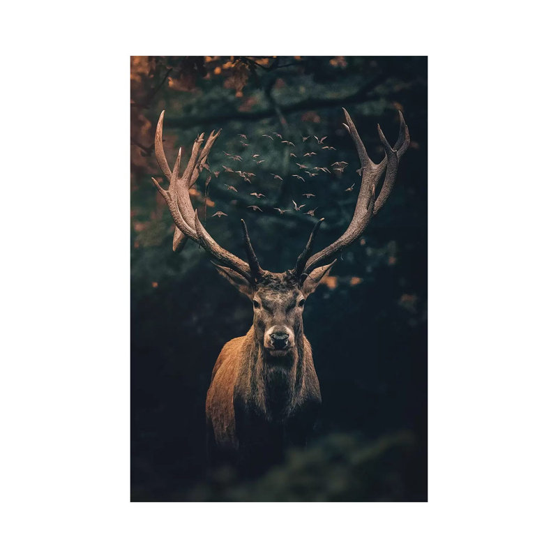 The Moody Deer by Zenja Gammer - Print on Canvas, 66.04 cm H x 45.72 cm W x 1.91 cm D, Wrapped Canvas