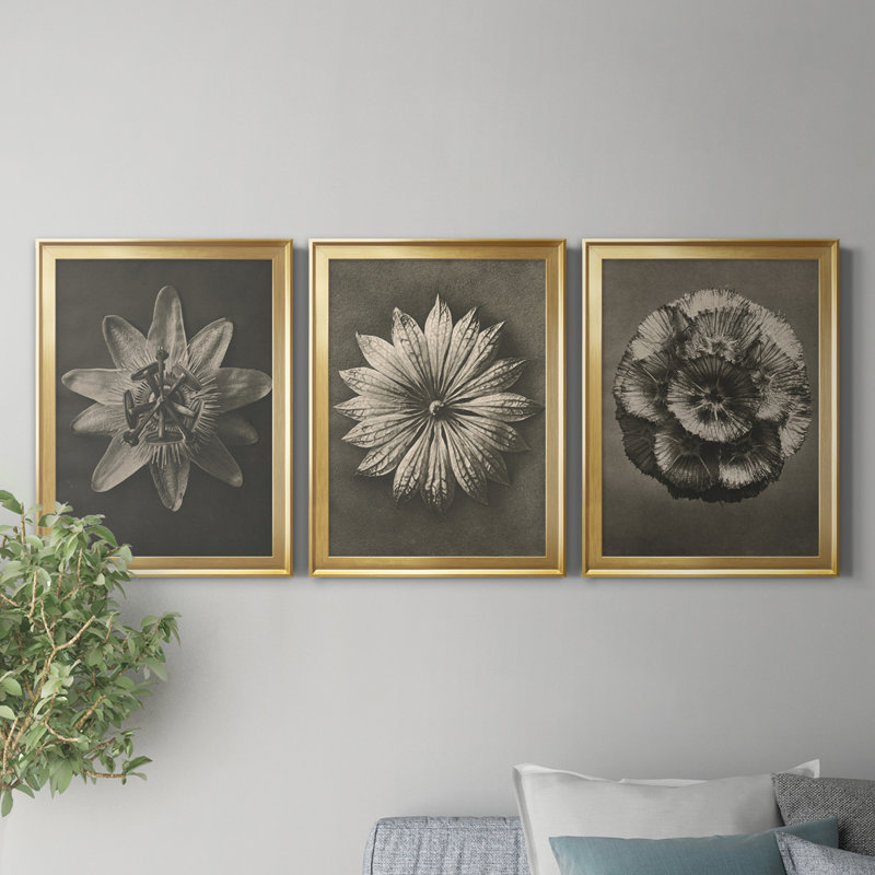«Blossfeldt Flower I», ensemble de 3 impressions sur toile encadrées, Doré, H 22,5 po x l 91,5 po x P 1,5 po