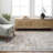 Oriental Indoor Rug-1654483891