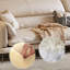 Causeuse-coussin modulaire en cuir véritable beige-349640897-349640955