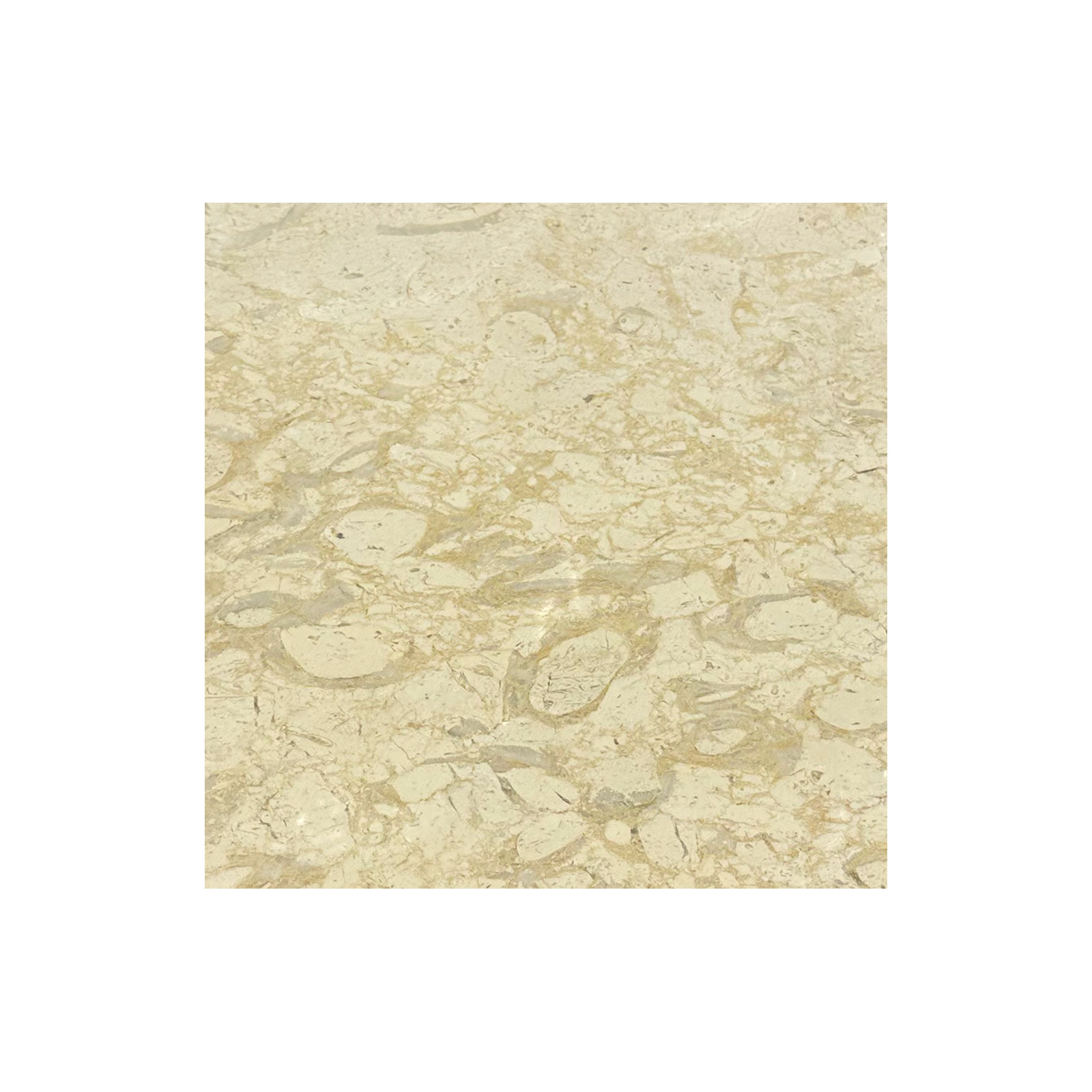 Pearl Zeno 16" x 16"