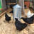 Silo Chicken Feeder