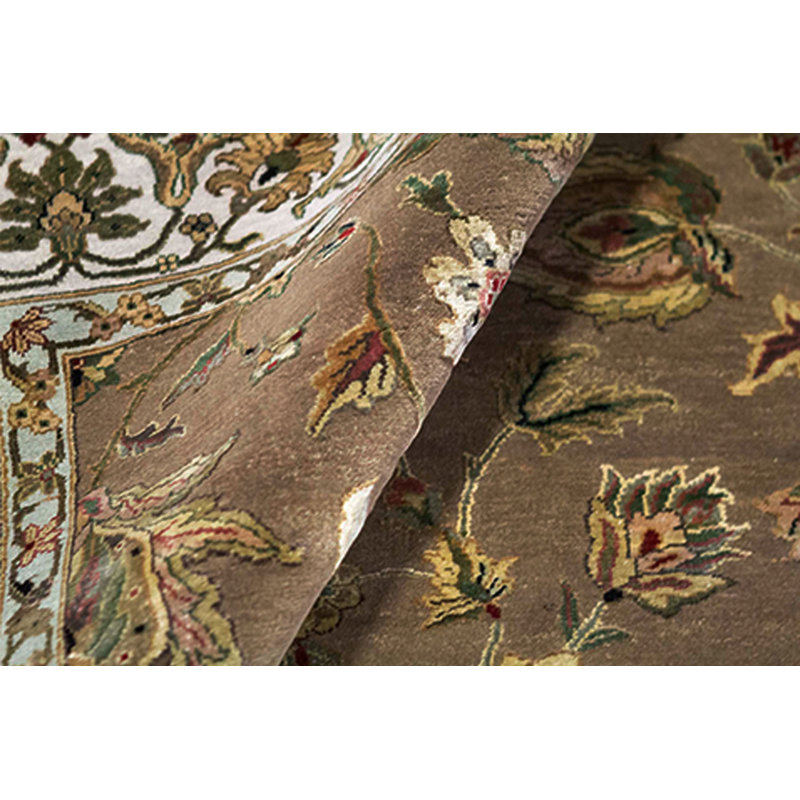Dharma Oriental Area Rug in Brown